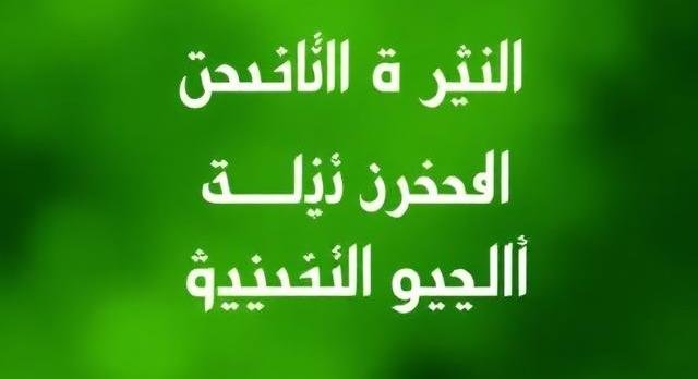 Wudu Wudu
